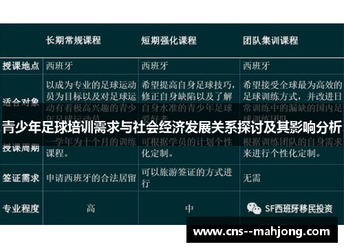 青少年足球培训需求与社会经济发展关系探讨及其影响分析