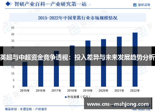 英超与中超资金竞争透视：投入差异与未来发展趋势分析