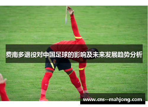 费南多退役对中国足球的影响及未来发展趋势分析